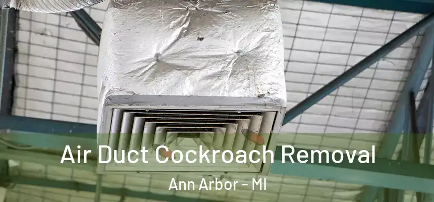  Air Duct Cockroach Removal Ann Arbor - MI
