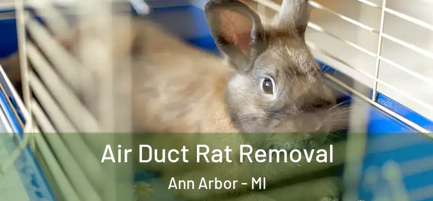  Air Duct Rat Removal Ann Arbor - MI