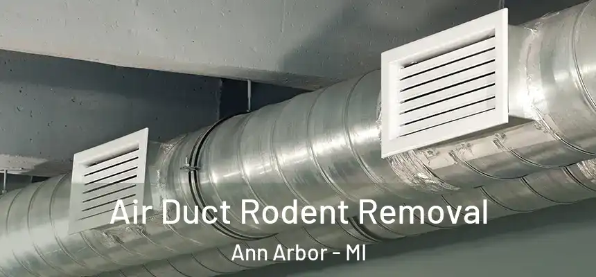 Air Duct Rodent Removal Ann Arbor - MI