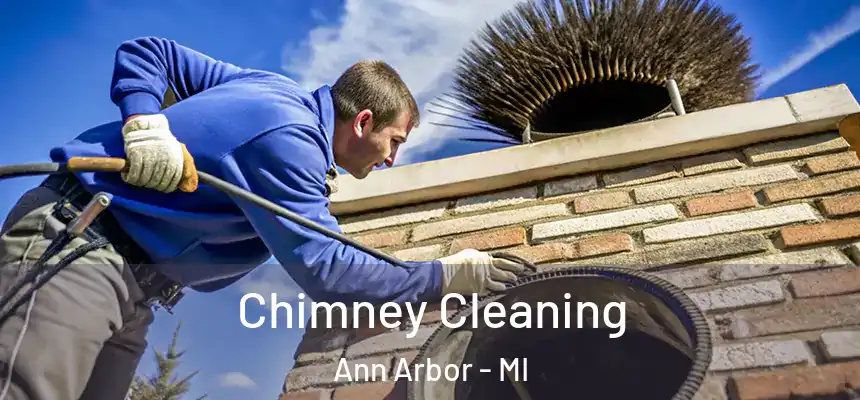 Chimney Cleaning Ann Arbor - MI