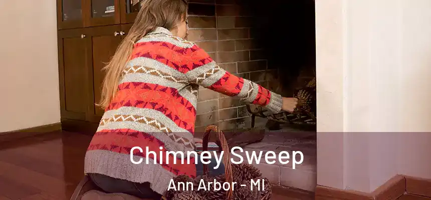  Chimney Sweep Ann Arbor - MI