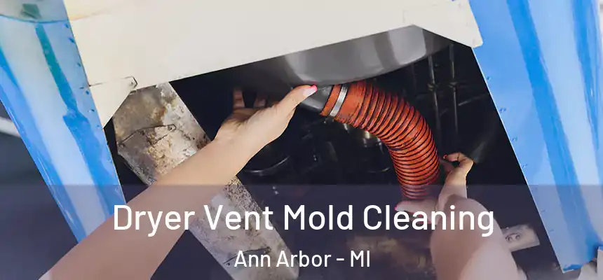 Dryer Vent Mold Cleaning Ann Arbor - MI
