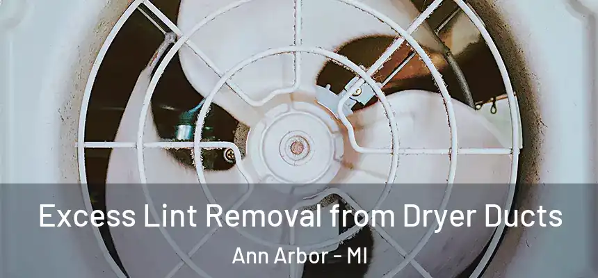  Excess Lint Removal from Dryer Ducts Ann Arbor - MI