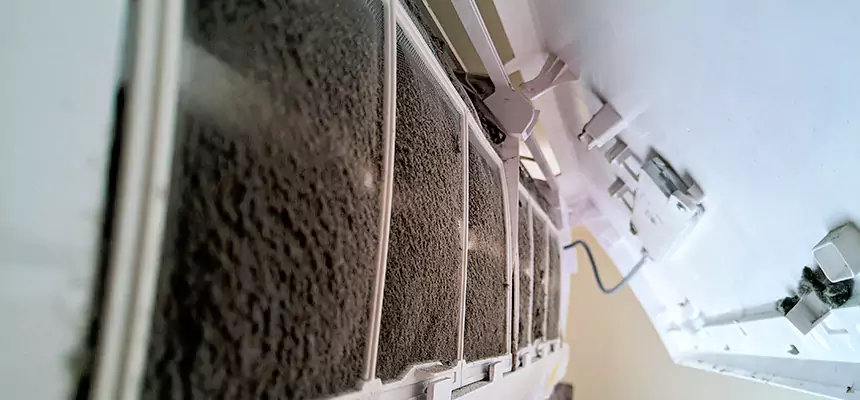 Preventive Air Duct Bacteria Removal in Ann Arbor