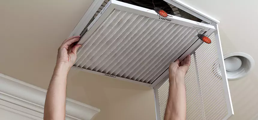 Preventive Cockroach-Proofing for Ducts in Ann Arbor