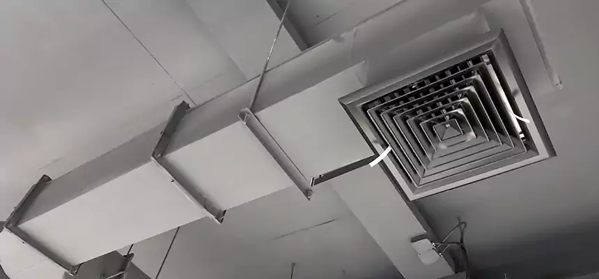 Our Pest Removal From Ducts Services in Ann Arbor, MI