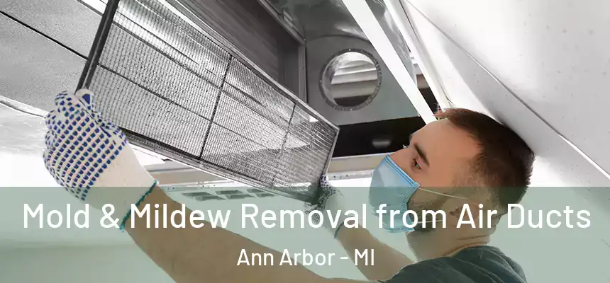 Mold & Mildew Removal from Air Ducts Ann Arbor - MI