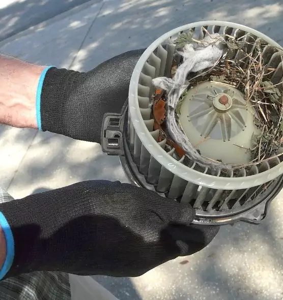 About Air Duct Mice Removal in Ann Arbor, MI