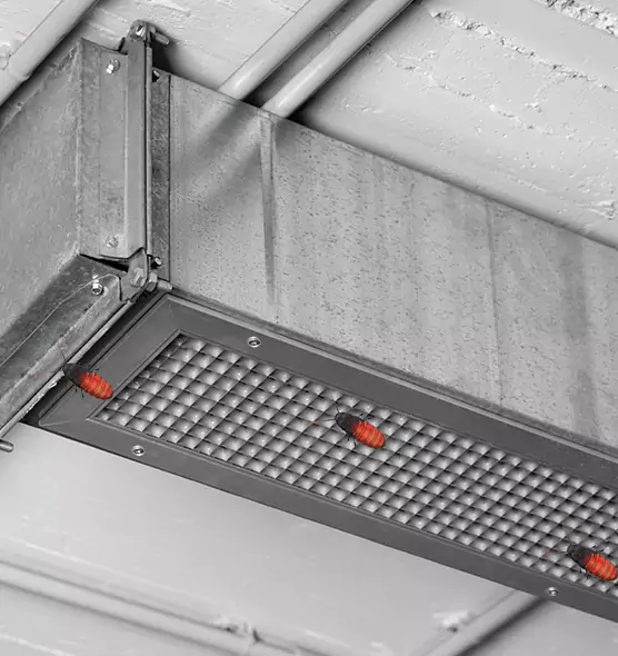 Affordable Insect Removal from Air Ducts in Ann Arbor, MI
