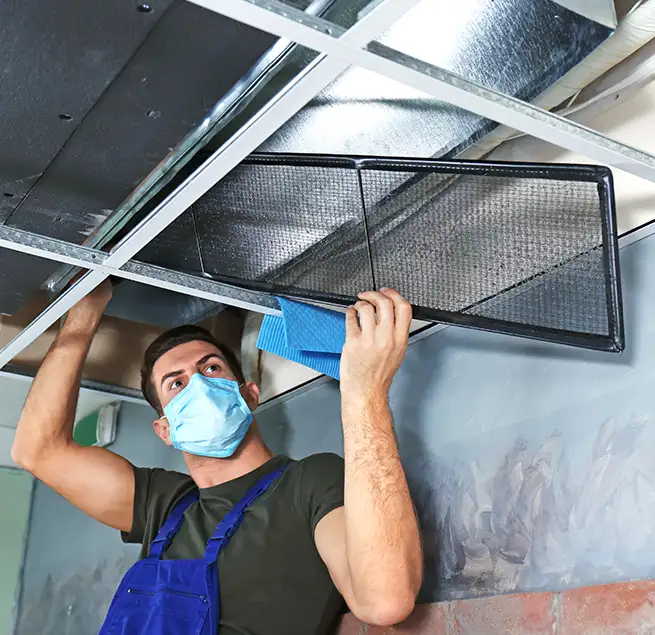 Why Homeowners & Businesses Trust Us in Ann Arbor, MI?