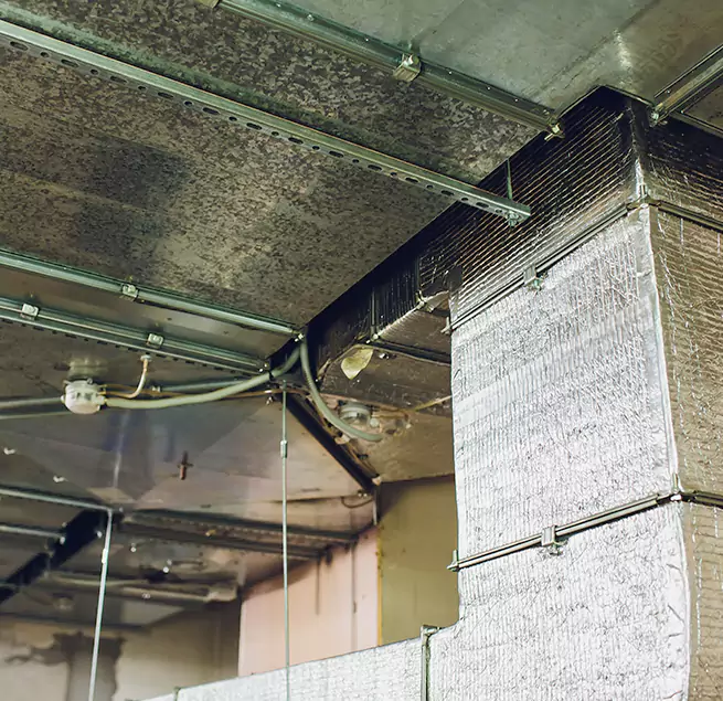 Why Homeowners & Businesses Trust Us in Ann Arbor, MI?